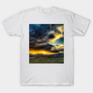 Montana Fires T-Shirt